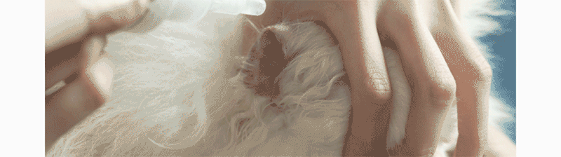 54bda8a12a3e9bbd0c01097a81fddf1a_1764223254_3425.gif