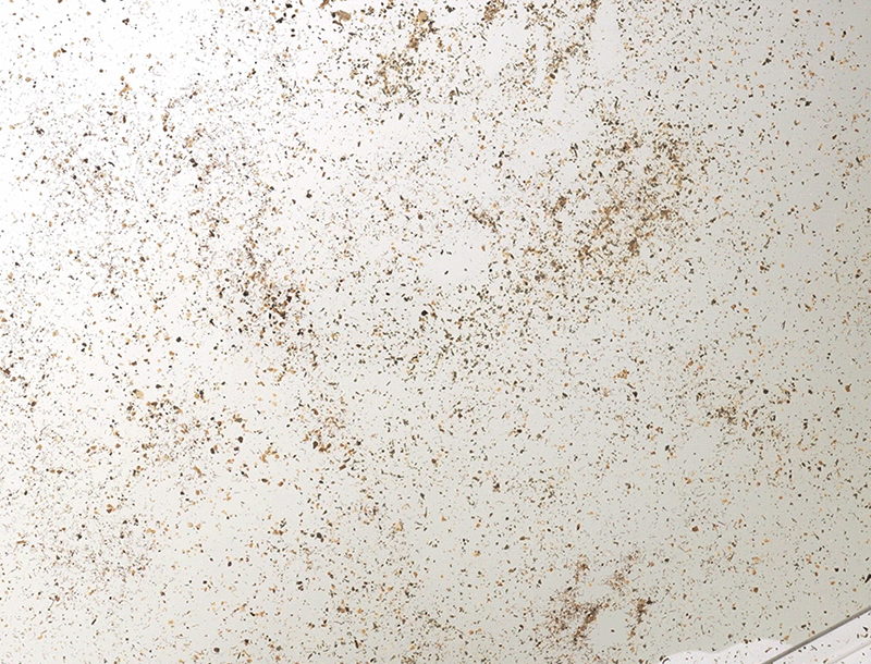 331b77cfca2fa168380e5541994bbb67_1777253848_0989.gif